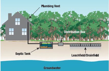 Septic Systems - Absorption Field (Leach Field)